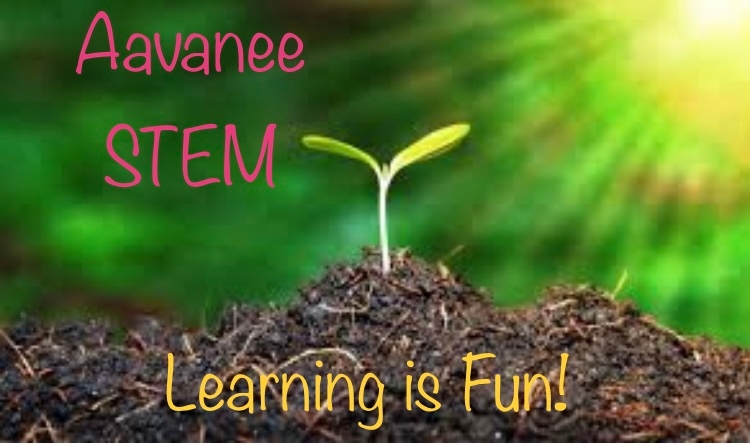 A featured image for Aavanee