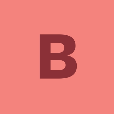 Brooklyn Chinese-American Association Inc
