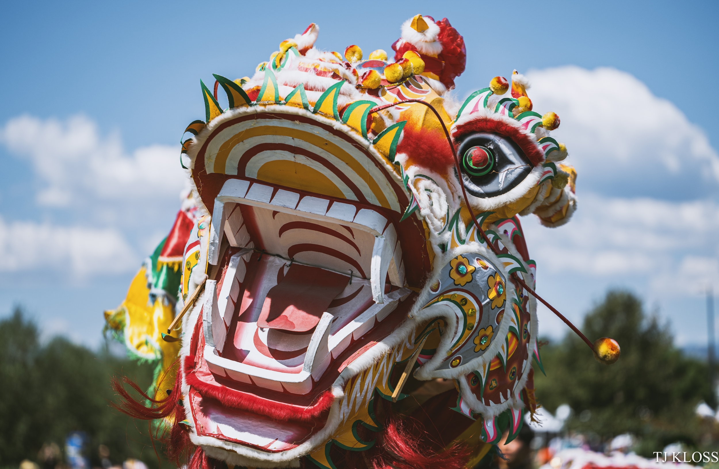 A featured image for Colorado Dragon Boat