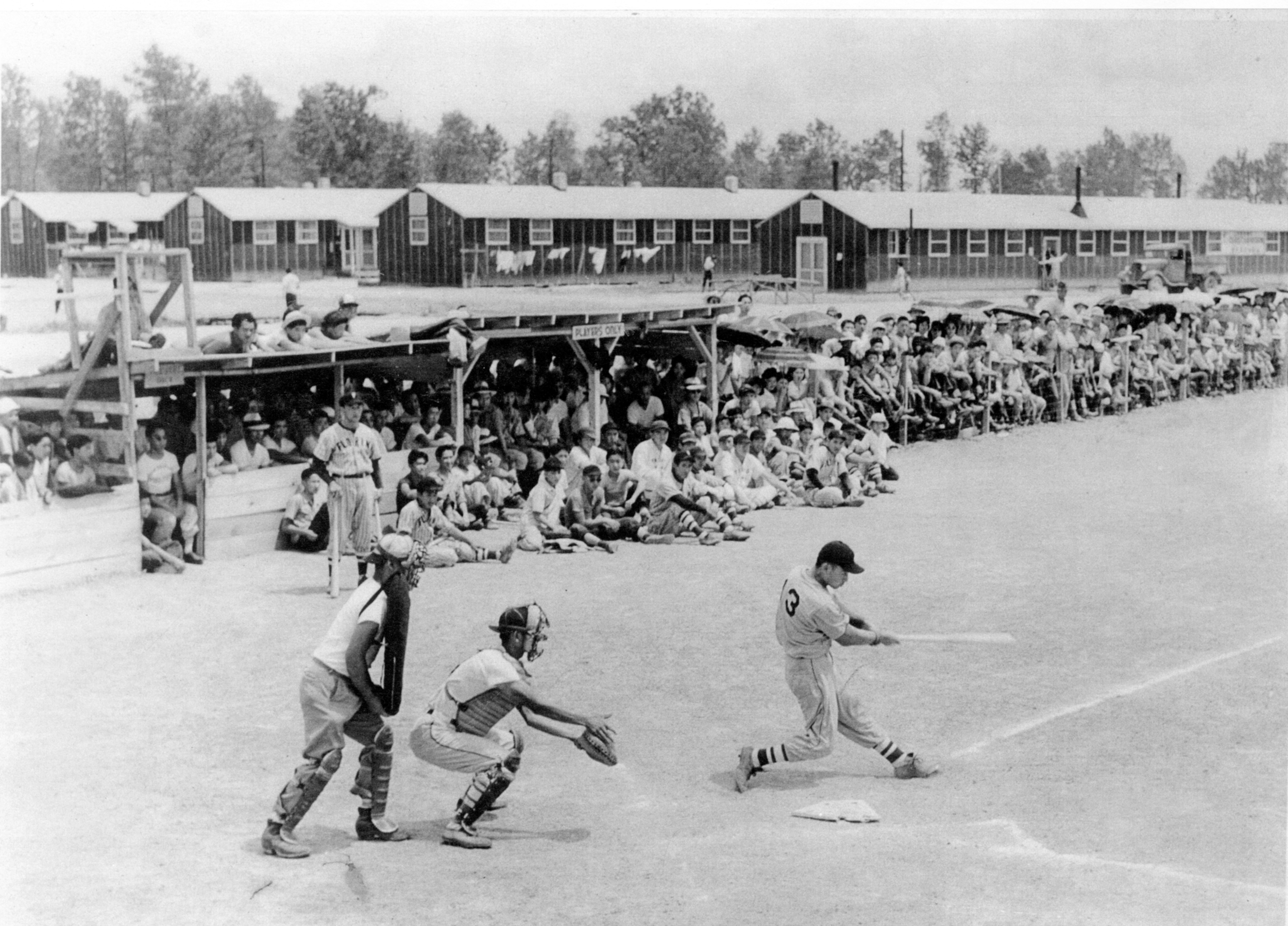 A featured image for Nisei Baseball Research Project