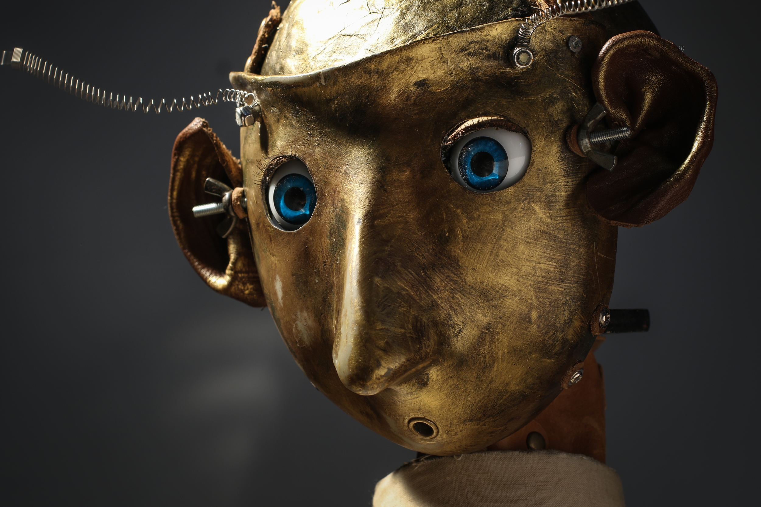 A featured image for Walking Iris Media