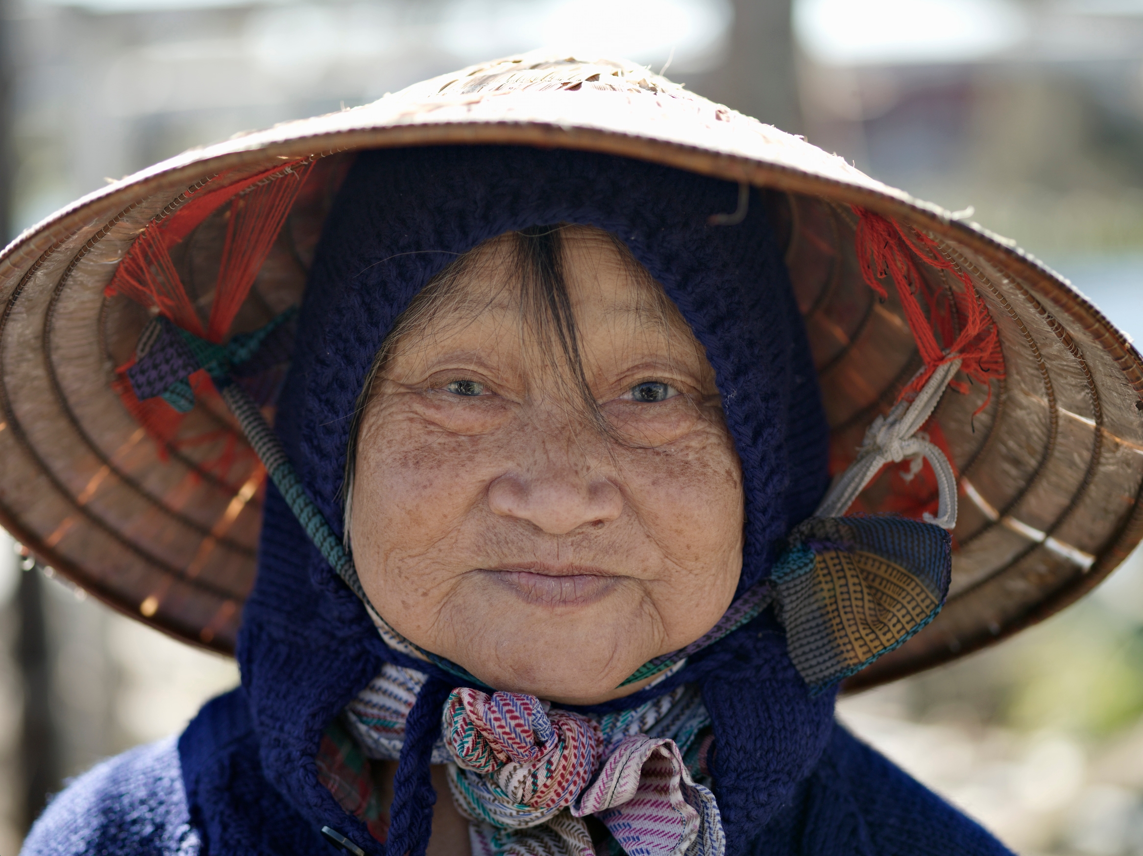 A featured image for Walking Iris Media